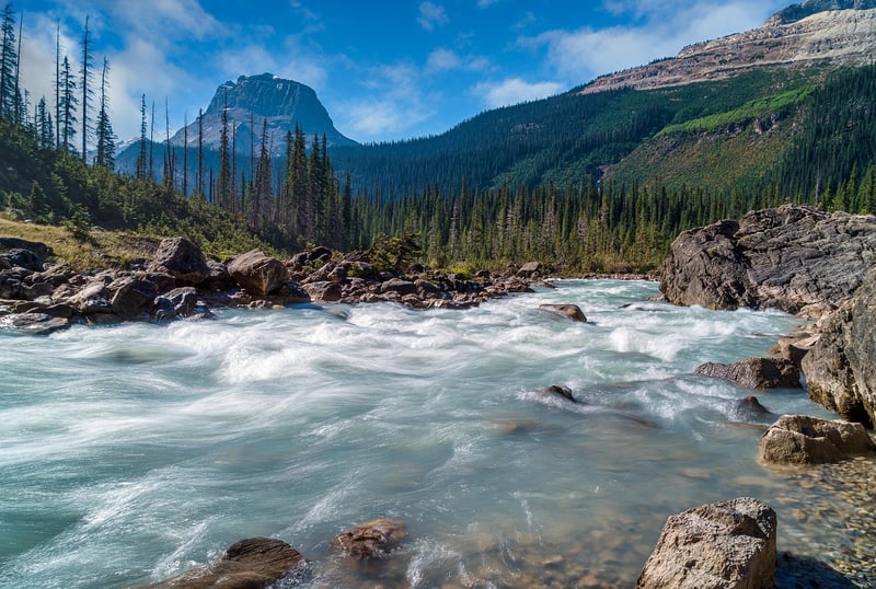 Clayoquot Wilderness Resort in Canada